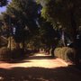 Parque de Consolación