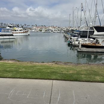 Harbor Cove Cafe - Bar seating with view - Seafood Near Me - Ventura, California Harbor Cove Cafe - Bar seating with view - Seafood Near Me - Ventura, California