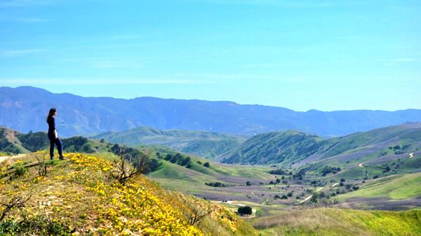 Chino Hills State Park by null