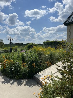 Northern Sun Winery and Vineyards by null