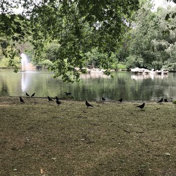 St James's Park - Lots of birds and geese here! - Parks Near Me St James's Park - Lots of birds and geese here! - Parks Near Me