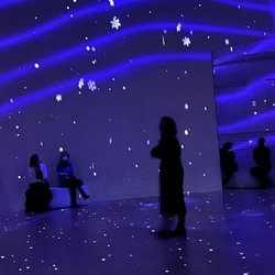 Immersive Mozart