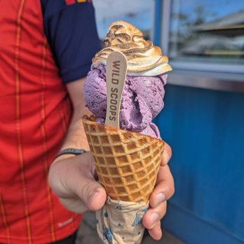 Wild Scoops - Wild bluberry - Ice Cream & Frozen Yogurt Near Me - Anchorage, Alaska Wild Scoops - Wild bluberry - Ice Cream & Frozen Yogurt Near Me - Anchorage, Alaska