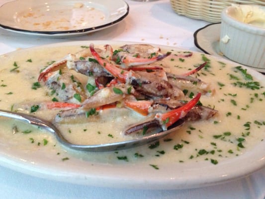 Sal & Judy's by null