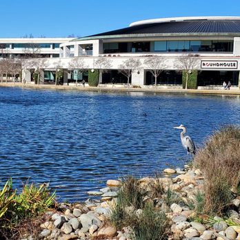 Annabel Lake - Lakes Near Me - San Ramon, California