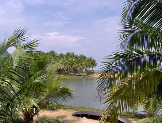 Mr Currys India Restaurant -Countryside Gourmet By Reservation only by null