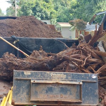 Don's Tree Service - Tree Services Near Me - Atlanta, Georgia