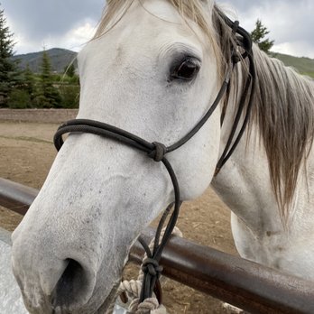 C Lazy U Ranch - Gypsy, the beat horse on the property - Resorts Near Me - Granby, Colorado