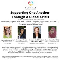 Pregnancy Birth and Parenting - PATTCh webinar panelist