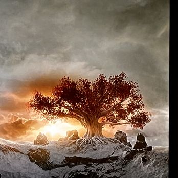Bud Man - Tree of life! - Cannabis Dispensaries Near Me Bud Man - Tree of life! - Cannabis Dispensaries Near Me