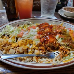Chicken Enchiladas