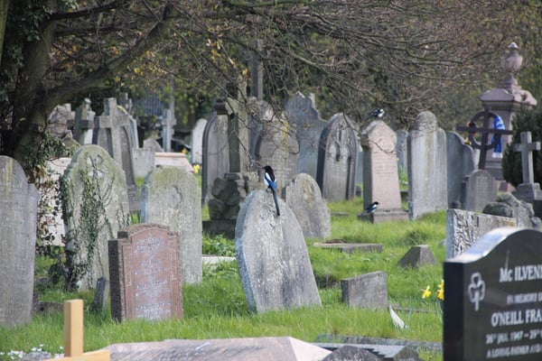 Kensal Green Cemetery by null