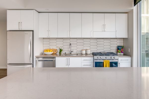 1717 Webster by null
