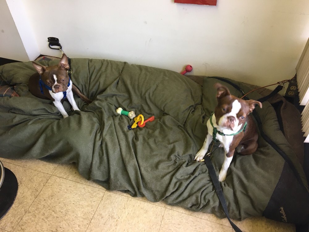 DISCOUNT BRAKE & MUFFLER Updated October 2024 11 Reviews 123