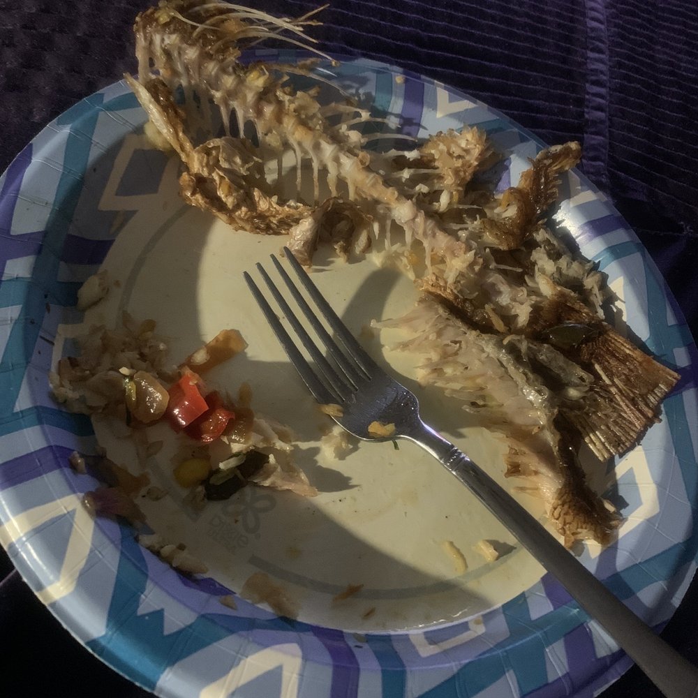 Okapi Bistro - Best leftovers ever, reheated taste as if I was still at the restaurant, awesome - African Near Me - Bloomingdale, Illinois