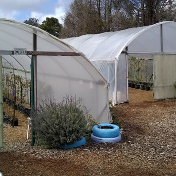 The Luffa Farm - The greenhouse where luffas are grown on vines - Tours Near Me - Nipomo, California The Luffa Farm - The greenhouse where luffas are grown on vines - Tours Near Me - Nipomo, California