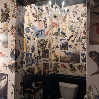 Sanctuary Salon - Amazing bathroom, bird inspired. - Hair Salons Near Me - San Francisco, California Sanctuary Salon - Amazing bathroom, bird inspired. - Hair Salons Near Me - San Francisco, California