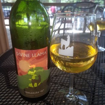 Divine Llama Vineyard - Wineries Near Me - East Bend, North Carolina Divine Llama Vineyard - Wineries Near Me - East Bend, North Carolina
