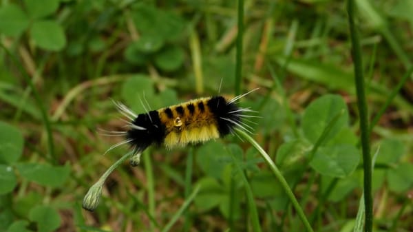 Fundy National Park Of Canada by null