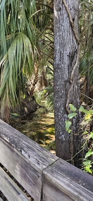 Gemini Springs Park by null