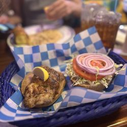The Whale's Rib