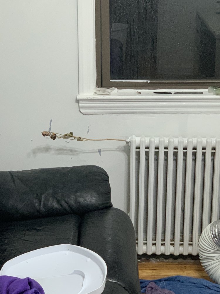 Slide of Jim Moscone Plumbing & Heating