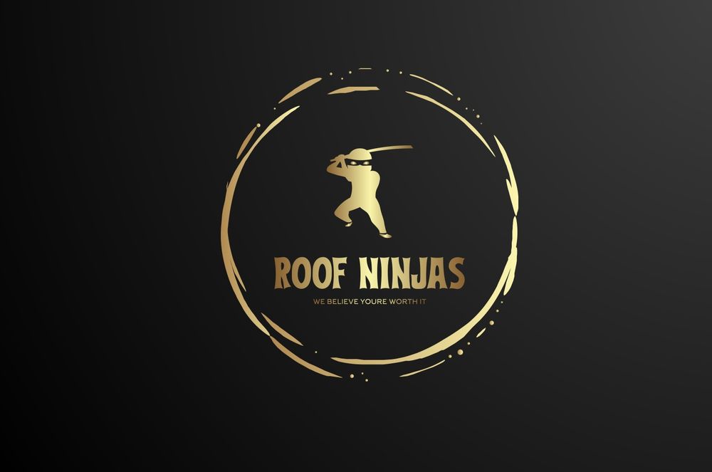 Slide of Roof Ninjas