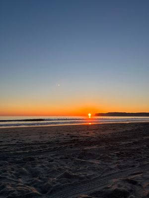 Coronado Dog Beach by null