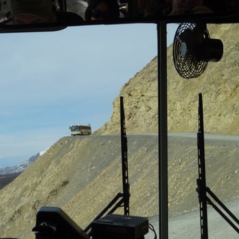 Denali National Park - I forgot who has the right of way...but our driver knows. - Hiking Near Me - Mckinley Park, Alaska