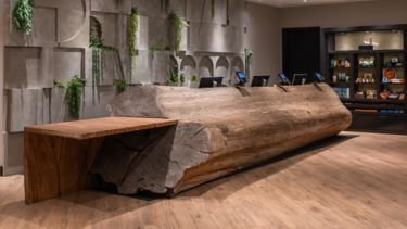 Hotel Paradox, Autograph Collection by null