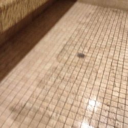 Tres-Bon Carpet & Upholstery Cleaners