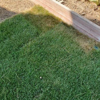 Cal Valley Landscape - Insufficient irrigation in backyard - Landscaping Near Me Cal Valley Landscape - Insufficient irrigation in backyard - Landscaping Near Me