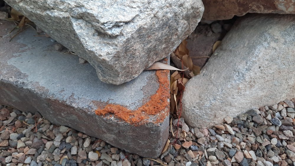 XSTREAM PONDS Updated October 2024 11 Photos 245 E Laguna St