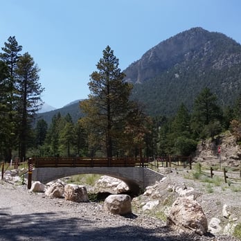 Acastus Trail - The Acustus Trail by the picnic grounds. - Hiking Near Me - Mount Charleston, Nevada
