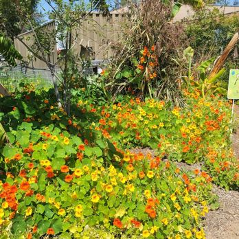 Great Park - Farm + Food Lab - Parks Near Me - Irvine, California Great Park - Farm + Food Lab - Parks Near Me - Irvine, California