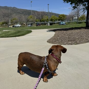 Coyote Canyon Park - Parks Near Me - Fontana, California