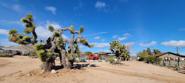 Rimrock Ranch by null