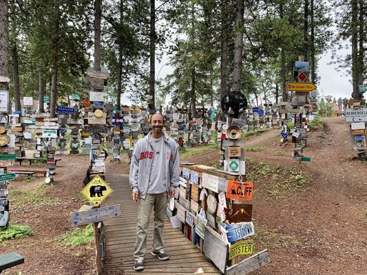 Sign Post Forest by null