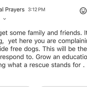 Animal Prayers - These are the rude people running this place. - Pet Adoption Near Me Animal Prayers - These are the rude people running this place. - Pet Adoption Near Me