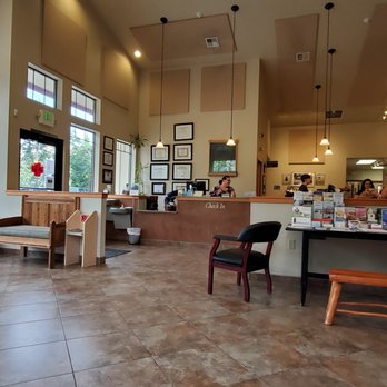 Hawks Prairie Veterinary Hospital - Inside waiting area - Veterinarians Near Me - Lacey, Washington Hawks Prairie Veterinary Hospital - Inside waiting area - Veterinarians Near Me - Lacey, Washington