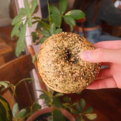 Furikake bagel with gochujang cream cheese