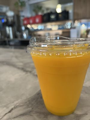 The Blue Light Speak Cheesy by null