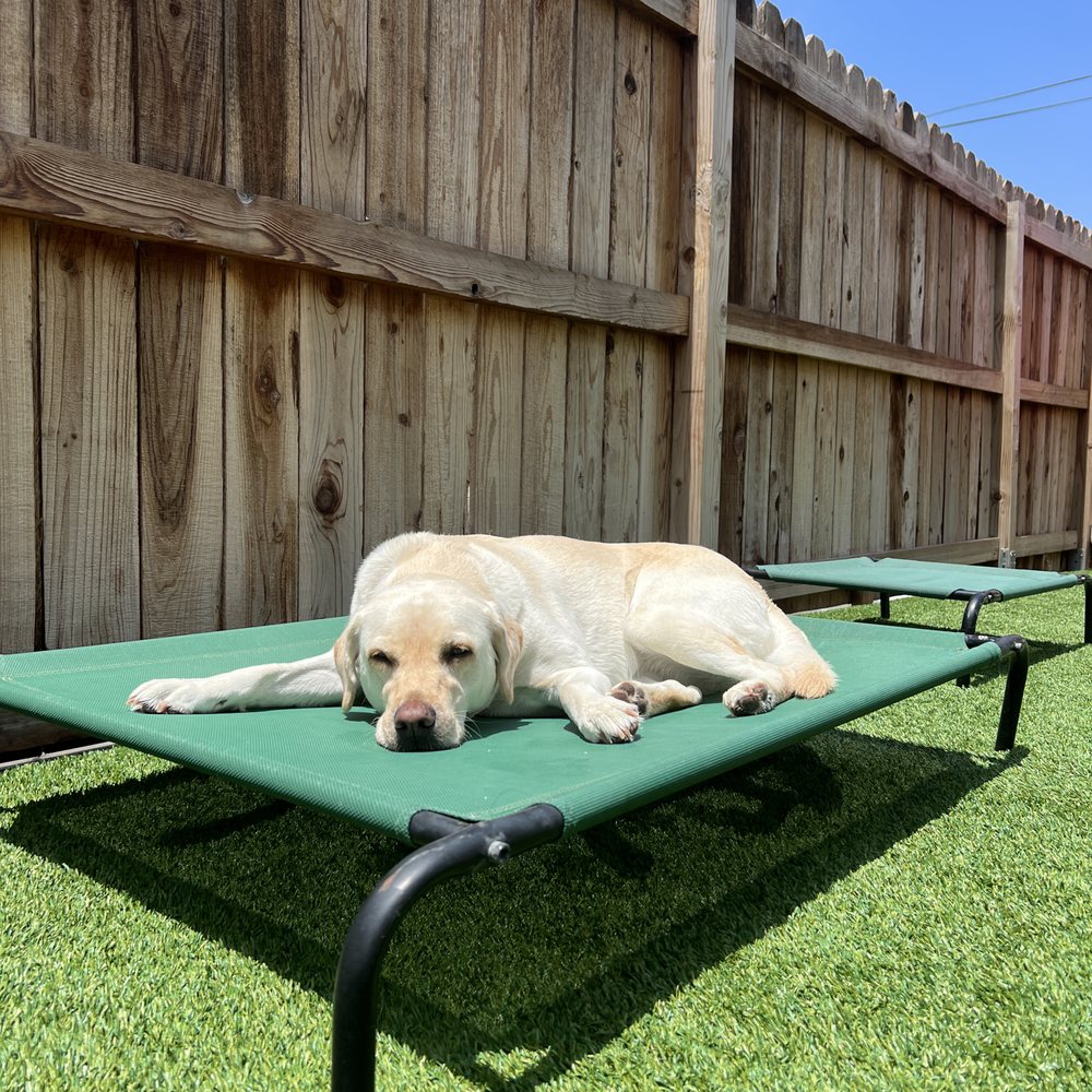 A Bark Idea - Pet Training Near Me - Redondo Beach, California A Bark Idea - Pet Training Near Me - Redondo Beach, California