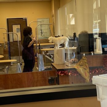 PetSmart - Pet Groomers Near Me - Northridge, California