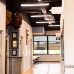Nelson Chiropractic