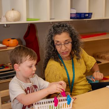 Edquisitive Montessori - montessori work cycle - Preschools Near Me - Boerne, Texas Edquisitive Montessori - montessori work cycle - Preschools Near Me - Boerne, Texas