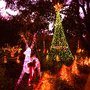 Photo of Celebration Of Lights