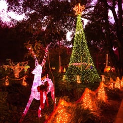 Celebration Of Lights