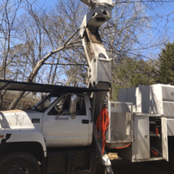 H & H Tree Services - Tree Services Near Me - New London, North Carolina H & H Tree Services - Tree Services Near Me - New London, North Carolina