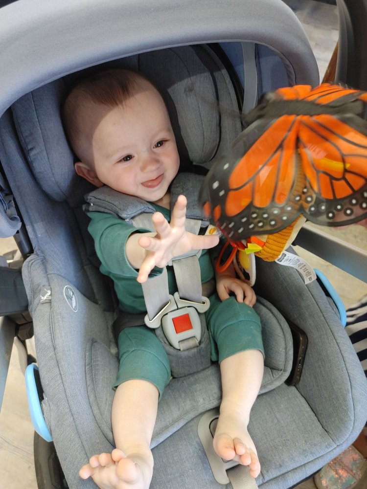 SPLASH TOY SHOP Updated October 2024 43 Photos & 14 Reviews 3580